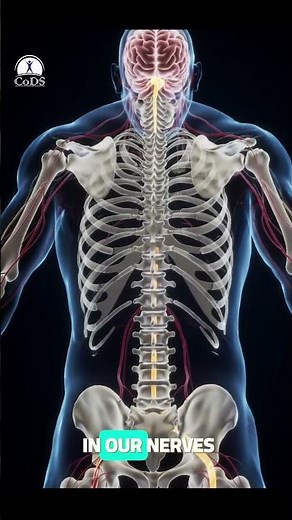 5G Radiation and EMFs Health Risks: Are Cell Towers and Phones Safe