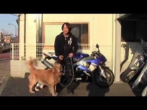 ヤマハ：YZF-R1：2001年限定モデル：参考動画