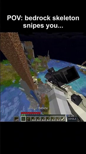 java skeleton 🤡 bedrock skeleton 🗿#jaidmeel