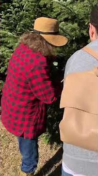 Pruning Demonstration: Making Natural Cuts