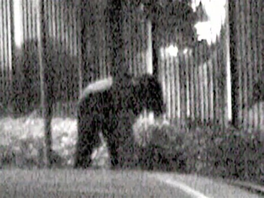 Cheaters TV Shows 2026 | Cheaters Tv Show New Episode | Cheaters Full Episode | Cheaters TV Show 2025