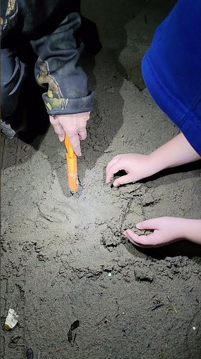 Beach ⛱️ Metal detecting ⛱️ Oregon coast