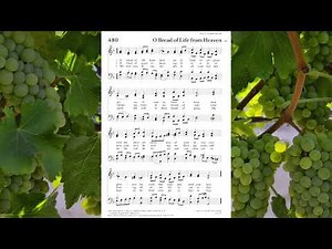 O Bread of Life from Heaven - Choral Practice Male Quartet