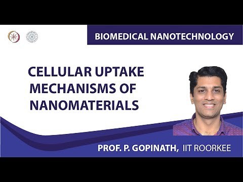 Cellular uptake mechanisms of nanomaterials