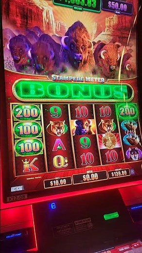 Live highlight empire city casino bonus #bonus #slots #casinogames #gamblingschool