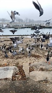 5.5K views · 336 reactions | Two things I can never get tired of...