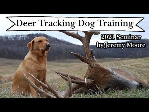 Deer Tracking Dog Training: 2021 Seminar