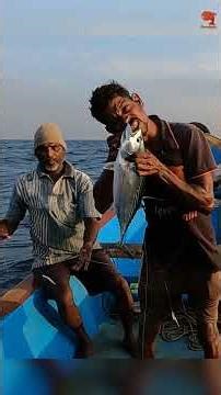 Hooked a Bonito Using Sabiki Rigs as Bait! #fishing #fishingvideo #fishingtime