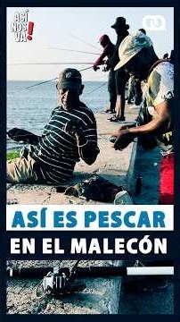 La VERDAD de los pescadores CUBANOS en el Malecón de La Habana #cuba #pesca #cubanos