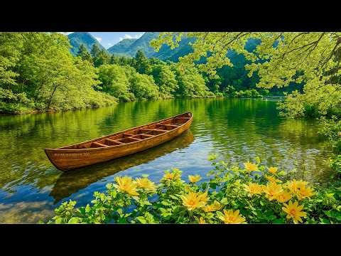 Beautiful Relaxing Music - Stop Overthinking, Stress Relief Music, Sleep Music, Calming Music #806