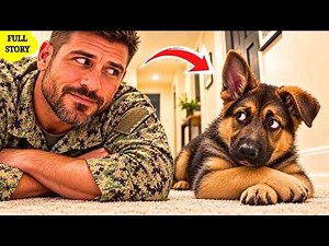 A Navy SEAL’s German Shepherd Puppy Kept Copying Everything He Did...Then He Finally Understood Why