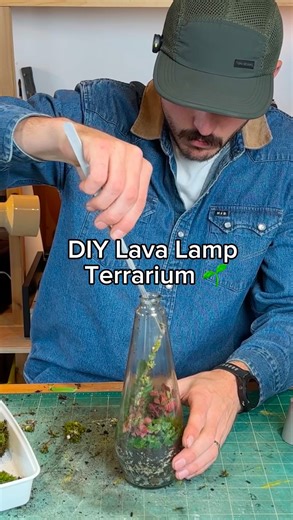 Connor Creates on Instagram: "How to make a tiny ecosystem inside an old lava lamp ✨🌱This was a fun project from a recent YouTube video where I took on the challenge to redesign the iconic lava lamp in 5 different ways! #terrarium #diy #diyprojects #lavalamp"