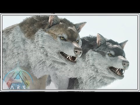 TAMING THE ULTIMATE WOLF PACK | ARK SURVIVAL ASCENDED [EPISODE 46]
