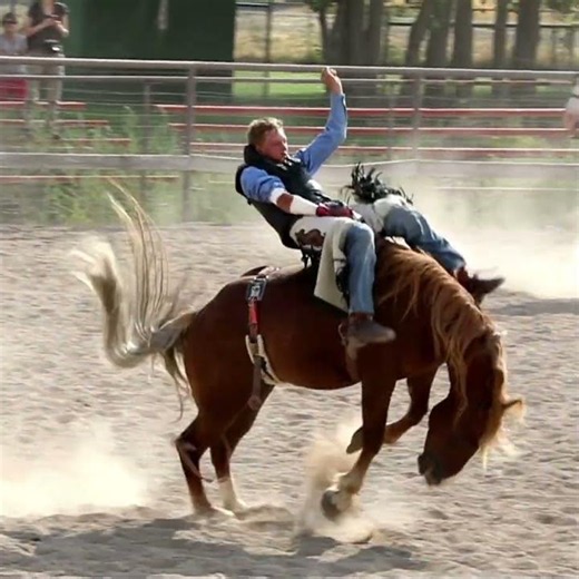 Bucking bronc riding buckaroo #shorts