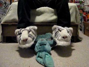 Blue Bunny Rubdown with White Tiger Slippers