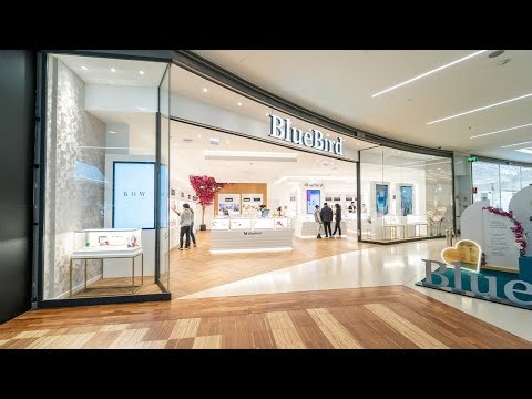 Loja BlueBird Nosso Shopping | Vila Real