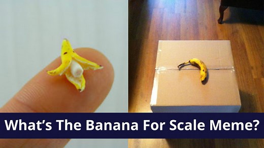 What Is The 'Banana For Scale' Meme? The Origin And Meaning Of The 'Banana For Scale' Meme Explained
