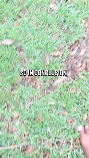 Heal Thy Self! This root chakra work was deep and so much came up from it. I never knew that starting this journey would lead me to where I am. https://www.youtube.com/user/chinagirltash?sub_confirmation=1 | Taasha Renee