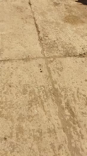 ndidzabweza chani 🙏