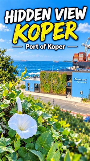 You Won’t Expect This View in Koper 😮🌊 | Port of Koper #Shorts.