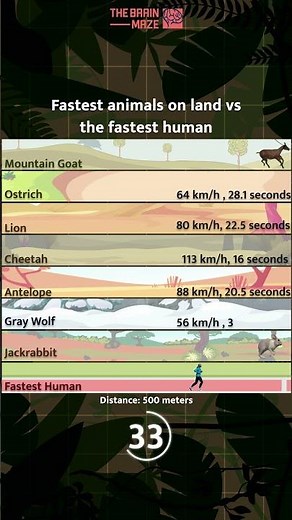 Fastest animals on land vs. the fastest Human!