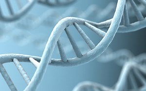 Chinese Scientist Claims First Gene-Edited Babies Born