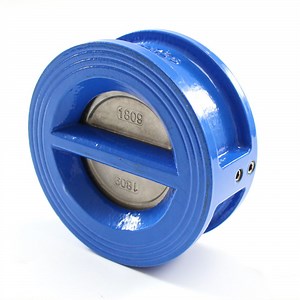 [Hot Item] DN80 Ductile Iron CF8m Dual Non Return Wafer Check Valve
