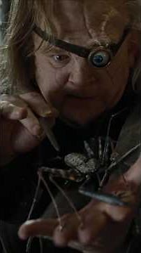 How Voldemort & Barty Crouch Jr Captured Mad-Eye Moody - Explained in Hindi