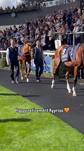 Horses like Kyprios stay long in the memory 🫶 Happy retirement champ 🏆 | Great British Racing
