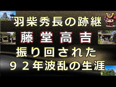 羽柴秀長の跡継だった藤堂高吉～９２年の波乱の生涯