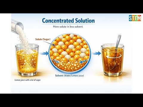 Science Class 7 | Chapter 6 Solutions | Concentrated vs Dilute Solutions