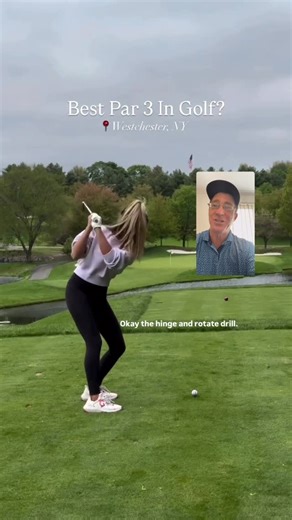 David Waters on Instagram: "This is Gabby Golf Girl demonstrating an excellent drill to form perfect arm structure at the top of the swing.✌️✌️ This drill is excellent for beginners but can be used for all skill levels.🤙🤙 Firstly you go into your normal set-up position. You then simply hinge the wrists to 90 degrees along with bending your elbows.🥇🥇 You then rotate your body as you would during your backswing and then lastly pushing your hands away from your body at the top of your swing to 