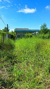 Clean up the abandoned house, overgrown with grass #cleanup #cleantheoldhouse #shots | Clean The Old House