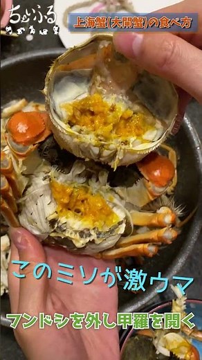 [How to eat Shanghai crab] If you search on Google, I will introduce how to eat it at home #Shorts