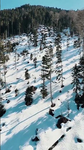 Snowfall Silence A Winter Meditation for Deep Calm