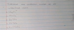 Calculate the oxidation number of the underlined atom(i) Cl2​O... | Filo