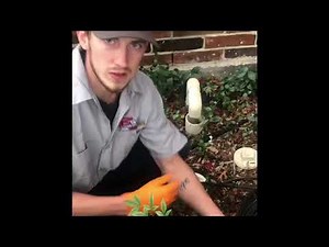 Hydrostatic- Pressure Test