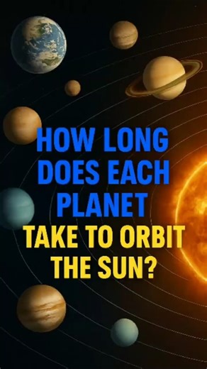 How Long Does Each Planet Take to Orbit the Sun? #shortvideo