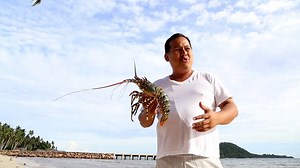 After 600 years, the Sulu Circumferential Road is soon to be completed connecting the most isolated, dangerous and inaccessible places in the once powerful seat of a Sultanate that encompassed huge areas of western mindanao and palawan as well as north borneo and has a sea named after it. Twenty years ago, the paving of the Sulu Circumferential Road was a dream during the signing of the peace agreement. The connection between having paved roads and peace was not yet clear for so many. But now it