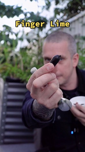 TikTok - Make Your Day