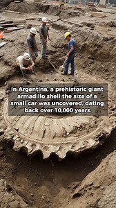 The Deep Dive on Reels