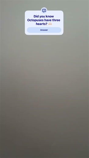 Cute Keychain🐙 #cuteoctopus #diy #keychaindiy #Keychain #cutediy