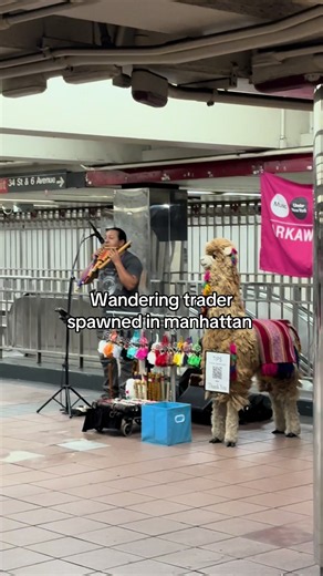 Wandering Trader Spawns in Manhattan Minecraft Moment