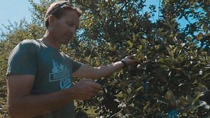 75K views · 231 reactions | JT Presents James Meller, Rocquette Cider Maker. Check out how James is using JT's technology  to craft Rocquette's local quality  cider from his family farm in Guernsey.  With thanks to Rocquette Cider La Sablonnerie The Bel Air Callum Thorne Film & Photography and Bam Perspectives - Jersey VisitGuernsey Visit Sark Visit Jersey | JTsocial | Facebook