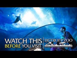 Watch This Before You Visit the Detroit Zoo