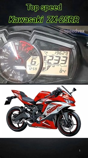 Kawasaki Ninja 300 Top Speed 🔥 | Can It Hit 190 KM/H?#shorts #ninja300 #kawasaki