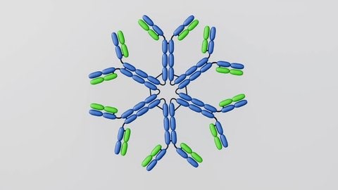 clip-3950444019-3d-animation-igm-hexamer-antibody-form-secreted