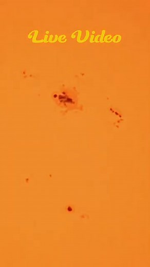 Imaging the sun and sunspots. Always remember to use a solar filter when observing the sun ☀️#solar #astronomy #SpaceX #space #NASA #telescope #Astrophotography #astrology | Levi Astrophotography | Facebook