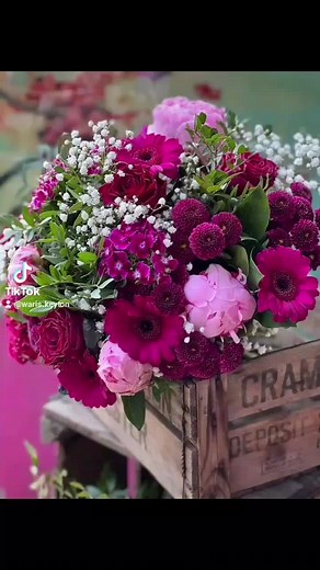 Waris Keyton على TikTok