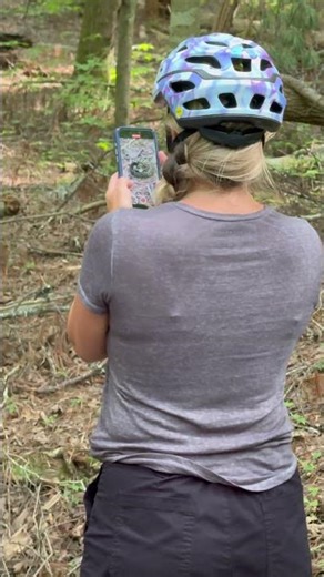Cades Cove Wildlife | Rattlesnake in the Smokies